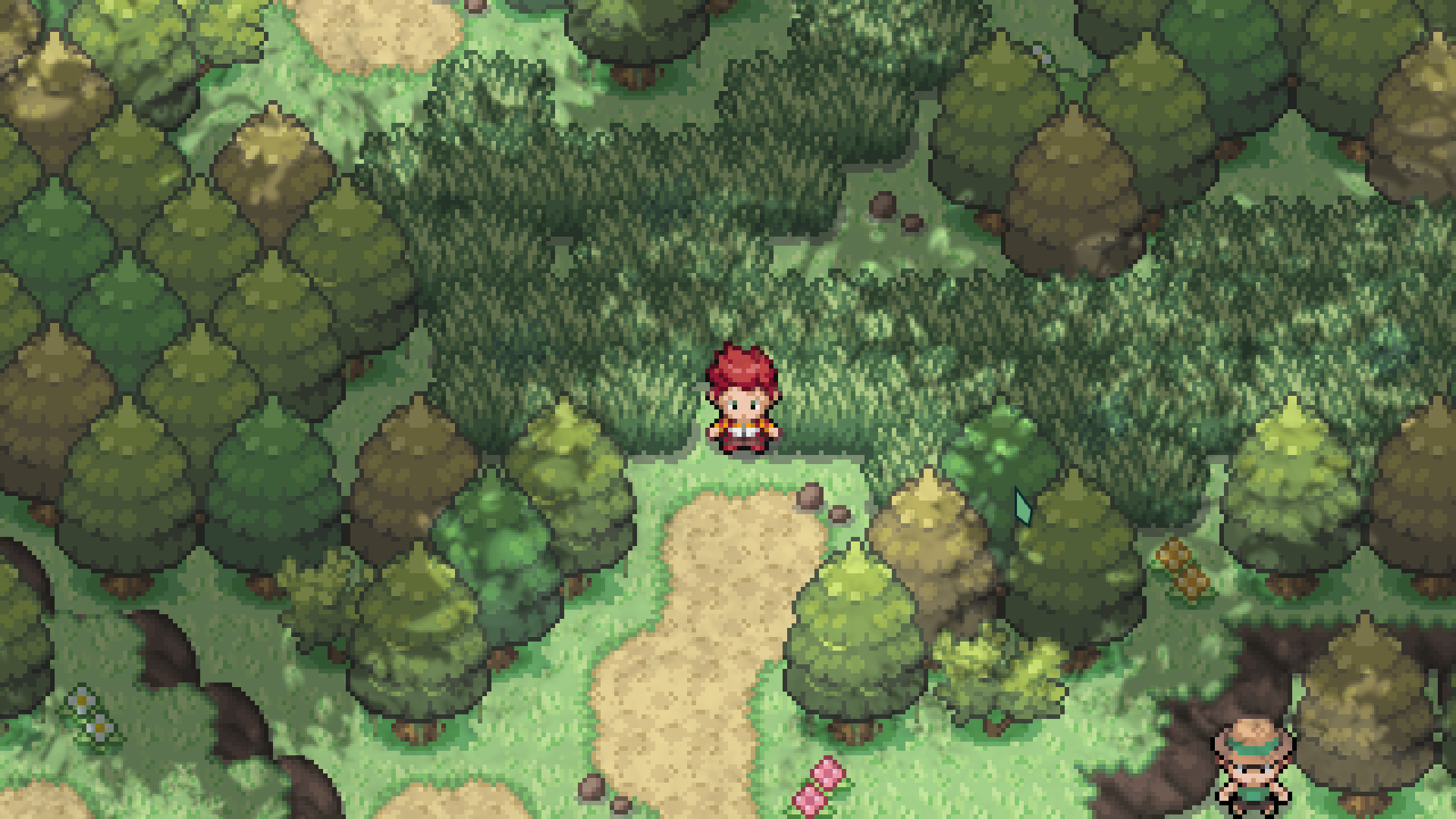 Pokémon Forêt Éternelle